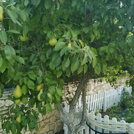 Πανσιόν Maison De Campagne *